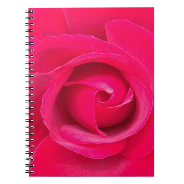 Caderno Espiral Rosa Rosa Rosa Vermelha Romântica (Frente)