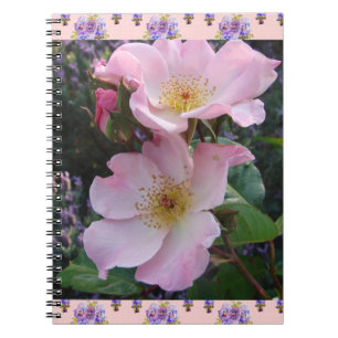 Caderno Espiral Rosa verde cor-de-rosa Foto floral Flor Mãe Dia de