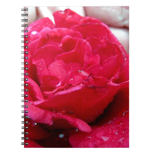 Caderno Espiral Rosa vermelha (Frente)