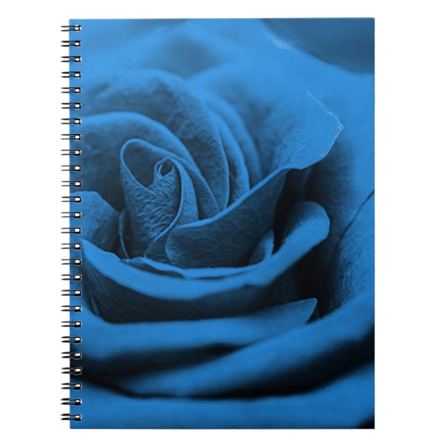 Caderno Espiral Rosa vermelha azul próxima, macrobeleza. (Frente)