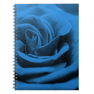 Caderno Espiral Rosa vermelha azul próxima, macrobeleza.