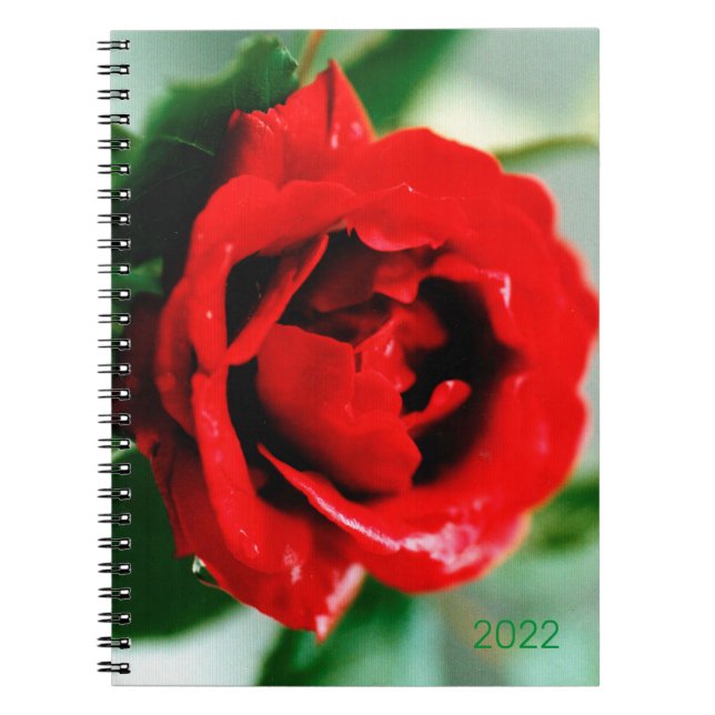 Caderno Espiral Rosa vermelha magnífica com gotas de orvalho (Frente)