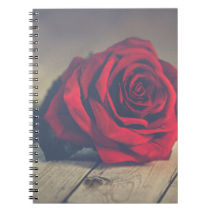 Caderno Espiral Rosa vermelha na Impressão de Arte em Painéis de M