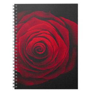 Caderno Espiral Rosa vermelha no efeito de vintagem em fundo preto