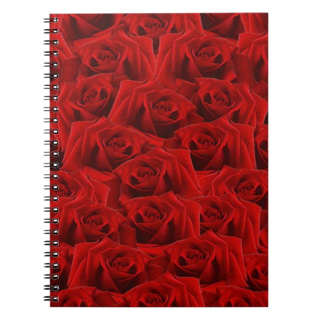 Caderno Espiral Rosa vermelha romântica (Frente)