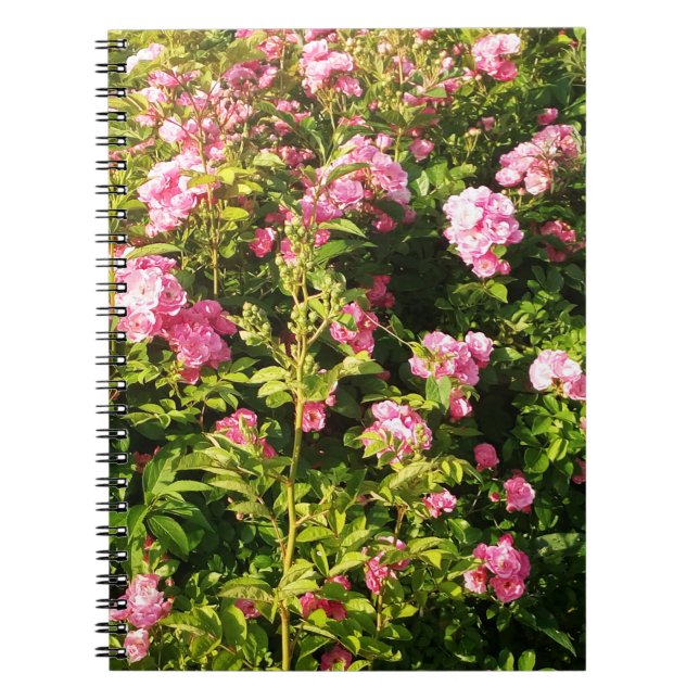 Caderno Espiral Rosário Flor (Frente)