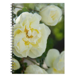 Caderno Espiral Rosas brancas, brancas, brancas, para positivas