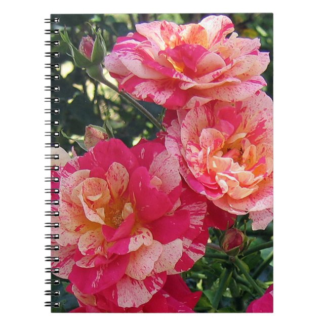 Caderno Espiral Rosas com risca branca e rosa Arte verbal pequena (Frente)