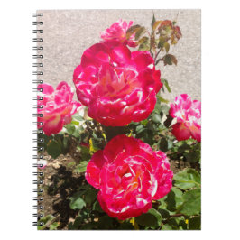 Caderno Espiral Rosas do Jardim Vermelho
