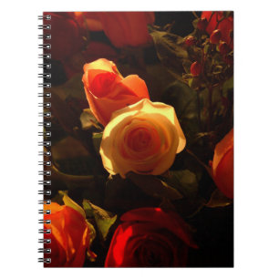 Caderno Espiral Rosas mim, laranja, vermelho e glória do ouro