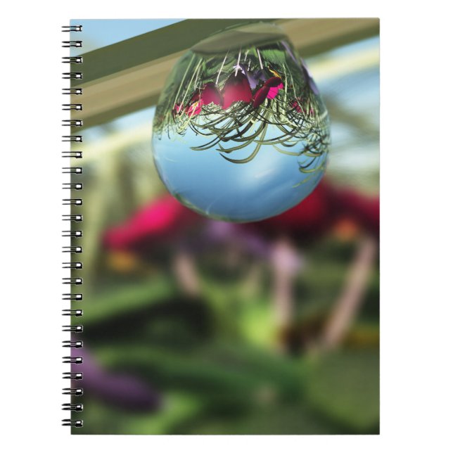 Caderno Espiral Rosas no notebook Raindrops (Frente)