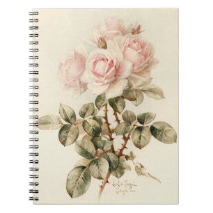 Caderno Espiral Rosas românticos do Victorian do vintage
