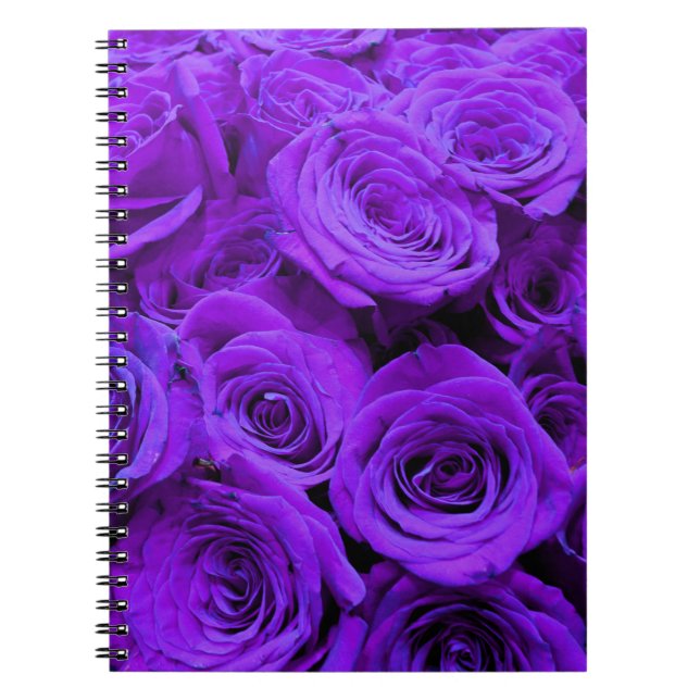 Caderno Espiral rosas roxas violetas românticas, buquê de rosa bon (Frente)