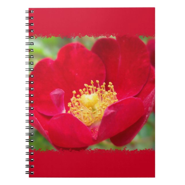 Caderno Espiral Rosas são notebook vermelho (Frente)