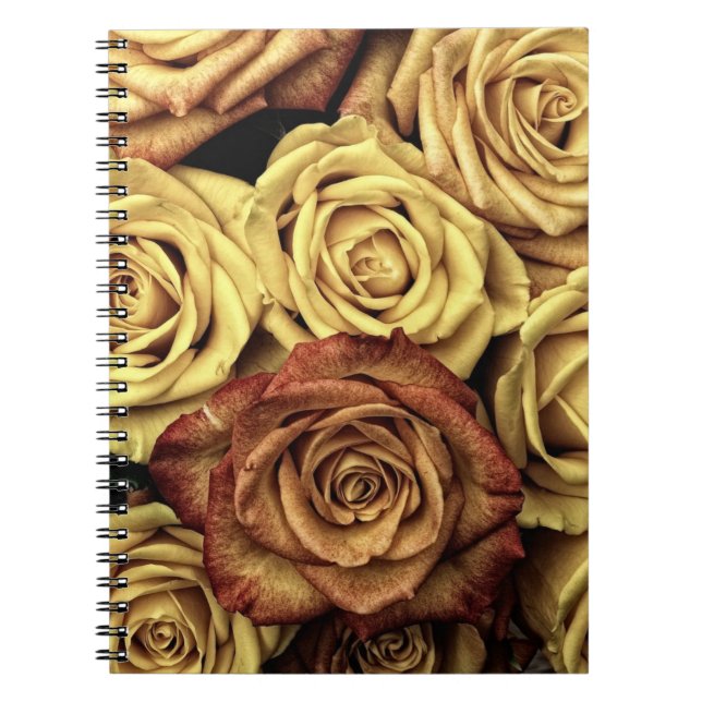 Caderno Espiral Rosas Sepia Desbotadas (Frente)