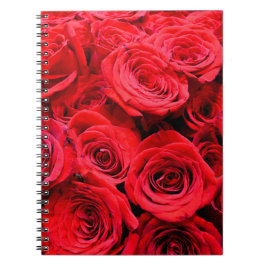 Caderno Espiral Rosas vermelhas