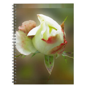 Caderno Espiral rosebud brilhando
