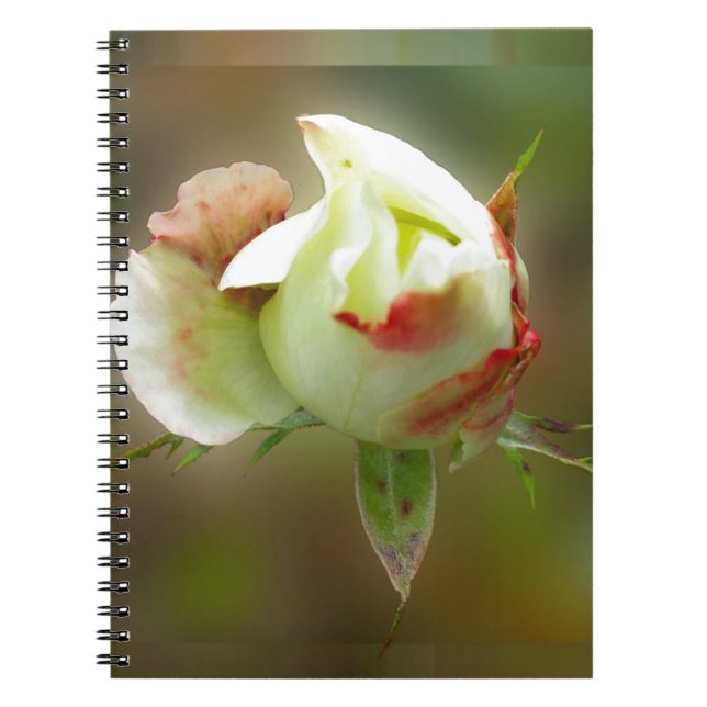 Caderno Espiral rosebud brilhando (Frente)