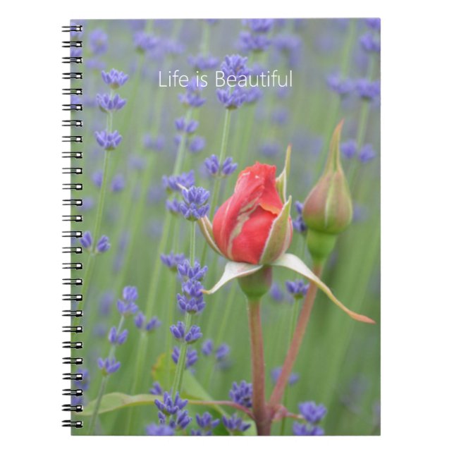 Caderno Espiral Roses Lavender Floral (my photography) (Frente)