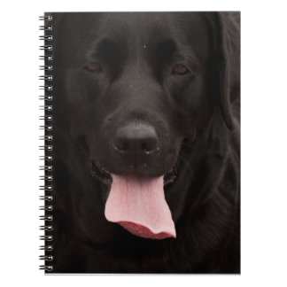 Caderno Espiral Rosto de cachorro preto