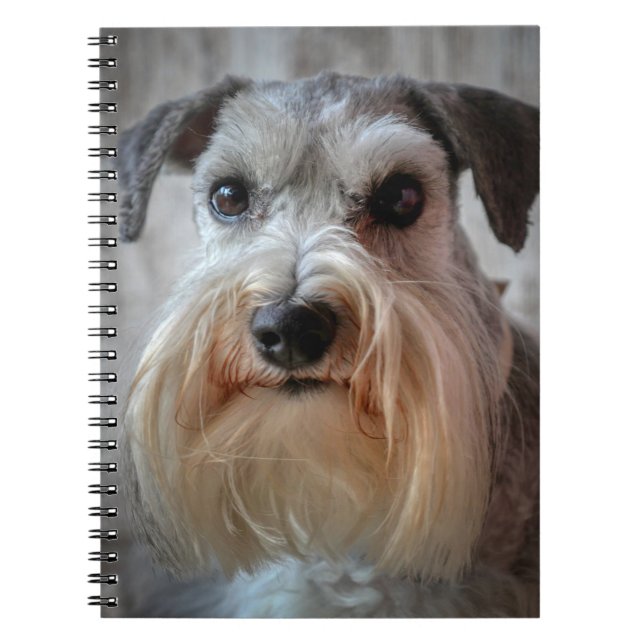 Caderno Espiral Rosto de Cachorro Schnauzer (Frente)