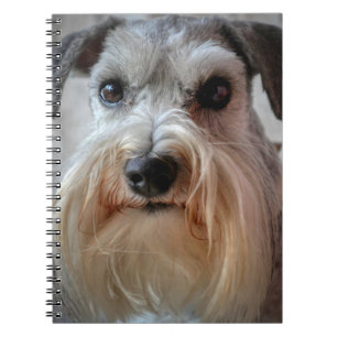 Caderno Espiral Rosto de Cachorro Schnauzer
