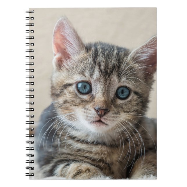 Caderno Espiral Rosto de Gato Bonito (Frente)