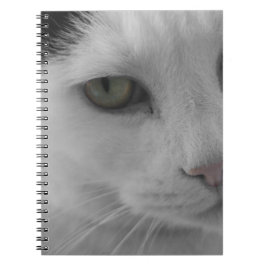 Caderno Espiral Rostos de gatos pretos e brancos