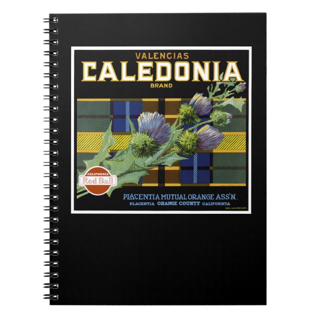 Caderno Espiral Rótulo Laranja da Caledonia (Frente)