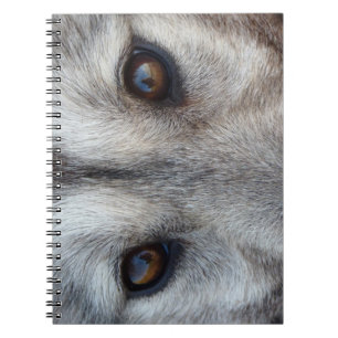 Caderno Espiral Rouco para Notebook Wolf Pup / Ofertas e Livros pa