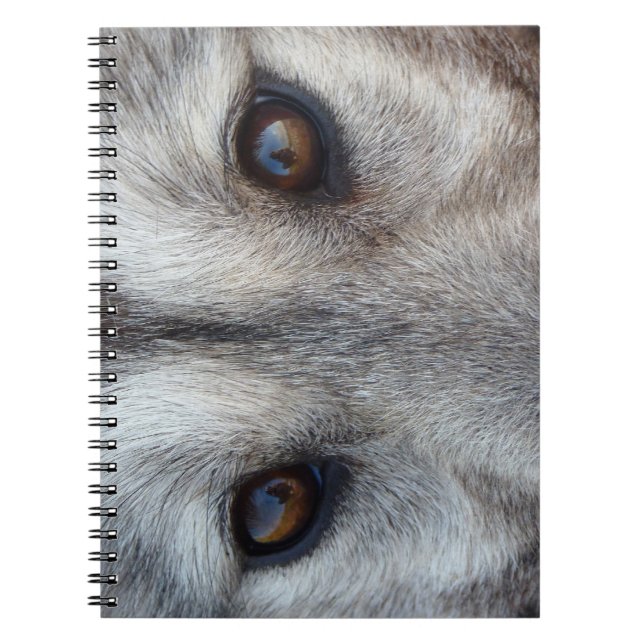 Caderno Espiral Rouco para Notebook Wolf Pup / Ofertas e Livros pa (Frente)