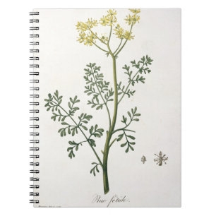 Caderno Espiral Rua de "Phytographie Medicale" por Joseph Roques