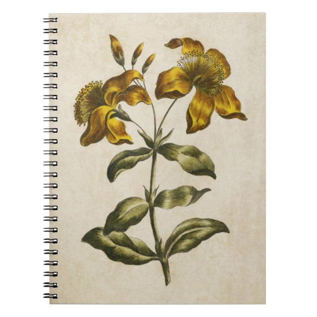 Caderno Espiral Ruas botânicas viradas para o ar, hipericão (Frente)