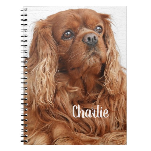 Caderno Espiral Ruby Cavalier King Charles Spaniel Dog (Frente)
