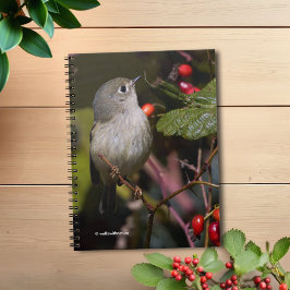 Caderno Espiral Ruby Crowned Kinglet Songbird no Hawthorn Bush