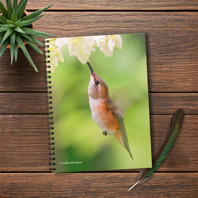 Caderno Espiral Rufous Hummingbird Esfrega Néctar do Flor de Aroma (Rufous Hummingbird Sips Blueberry Flower Nectar Journal Cover Photo)