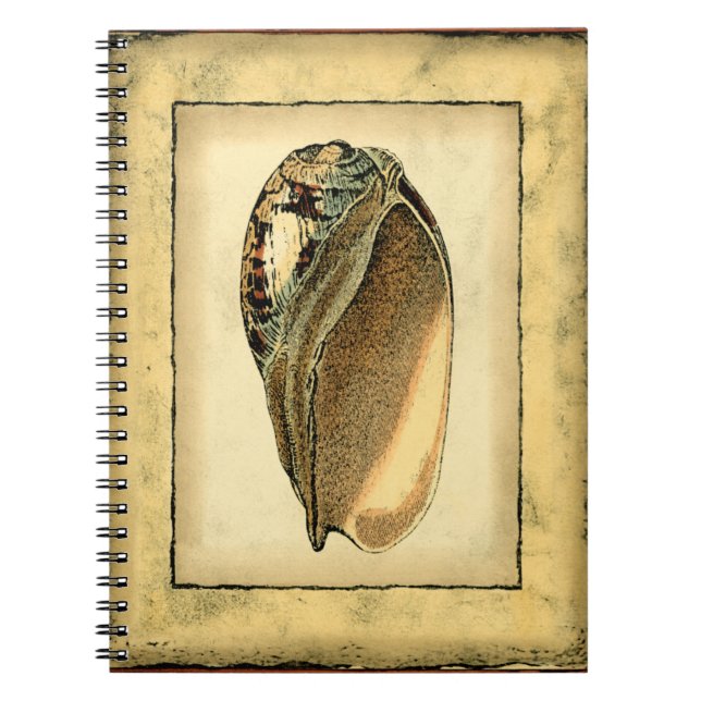Caderno Espiral Rustic Vintage Seashell (Frente)