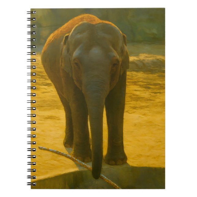 Caderno Espiral Sabedoria do Elefante ouro - Vida Selvagem Majesto (Frente)