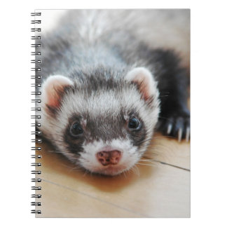 Caderno Espiral Sable Ferret