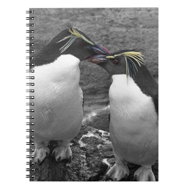 Caderno Espiral Saco de mão (Frente)