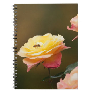 Caderno Espiral Saco Rose e Abelha