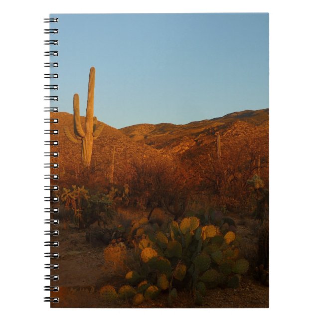 Caderno Espiral Saguaro Sunset I Arizona Desert Landscape (Frente)