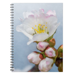 Caderno Espiral Sakura Blossom
