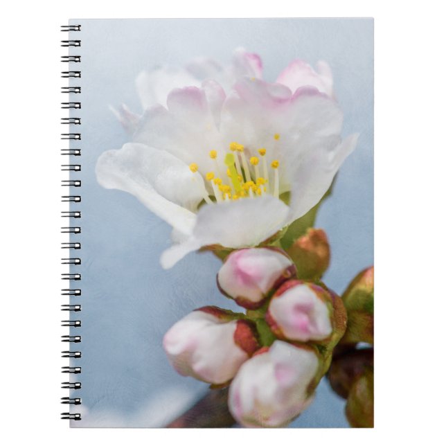 Caderno Espiral Sakura Blossom (Frente)