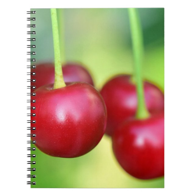 Caderno Espiral Sakura Cherries deliciosa Frutas vegetais de Vegan (Frente)