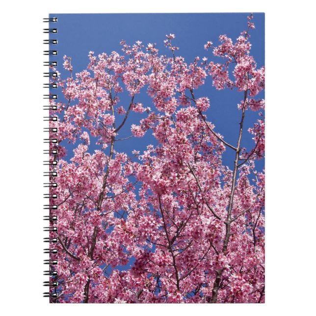 Caderno Espiral Sakura Cherry Blossoms No Azul (Frente)