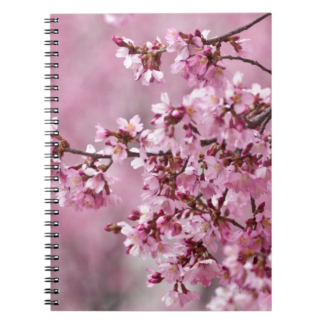 Caderno Espiral Sakura Cherry Blossoms Pastel Pink Camadas (Frente)