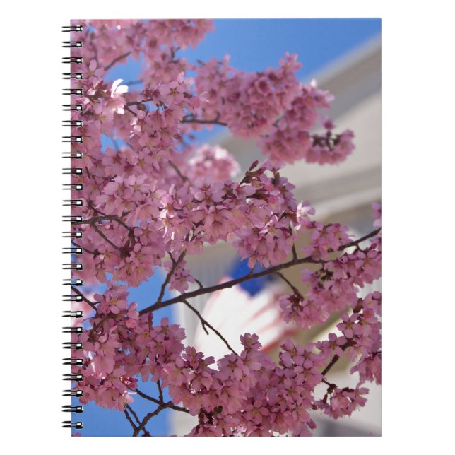 Caderno Espiral Sakura Flores de Cerejeira Americana (Frente)