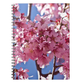 Caderno Espiral Sakura Flores de Cerejeira Estrelas Vermelhas