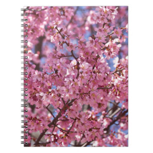 Caderno Espiral Sakura Pink Chersom Sky